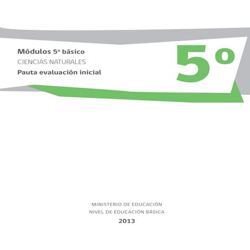 Nat5 b pauta-prueba_inicial