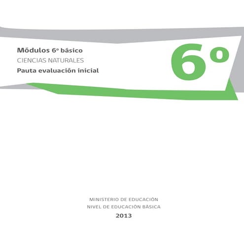 Nat6 b pauta-prueba_inicial