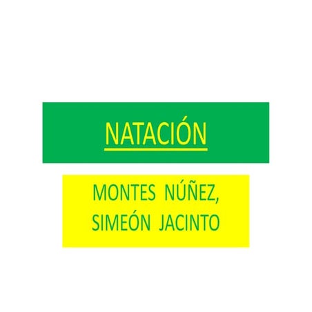 NatacióN     Diapositivas