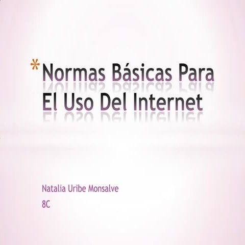 Normas Básicas Del Uso Del Internet 