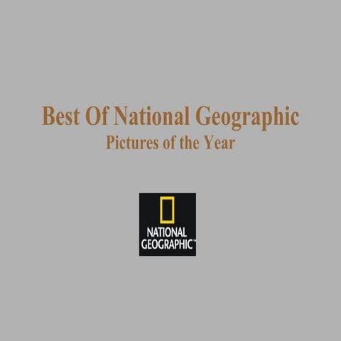 Natgeographicpicoftheyear