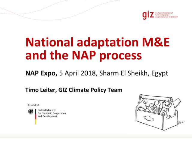 National adaptation M&E and the NAP process