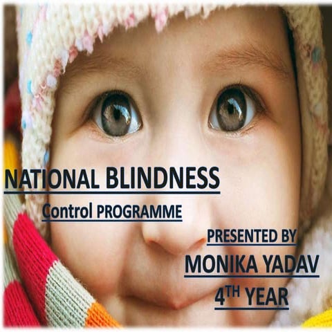 National blind control programme or blind programme