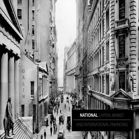 National capital markets & international financing