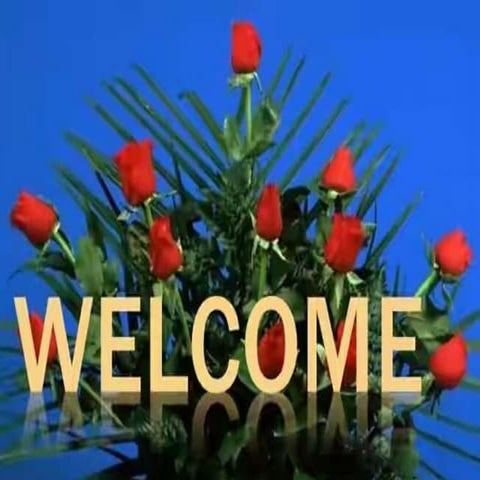 National filaria control programme