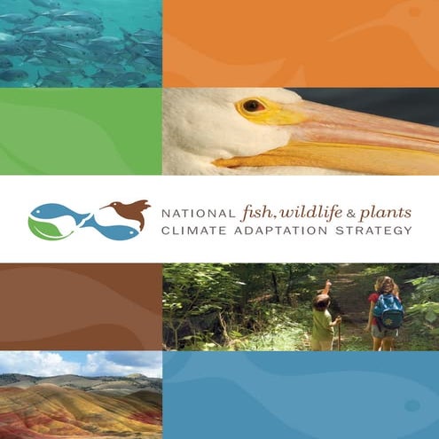 National fish, wildlife, and plants climate adaptation strategy