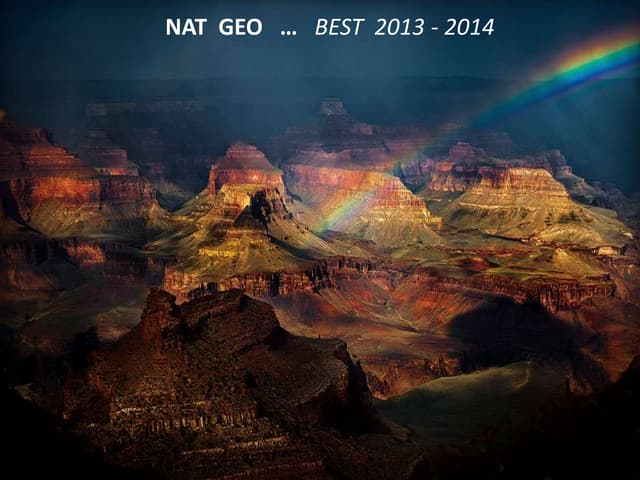 National geographic best 2013 2014