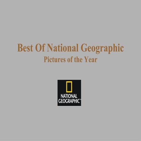 National Geographic Best Pictsof Yrfrm Peter Moore4506