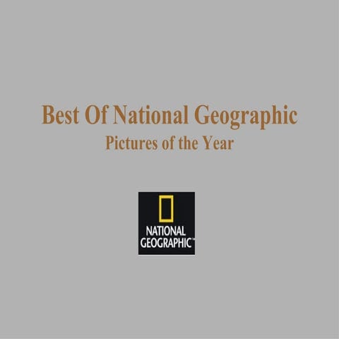 National geographics best 2006