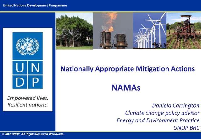 Nationally Appropriate Mitigation Actions (NAMA)