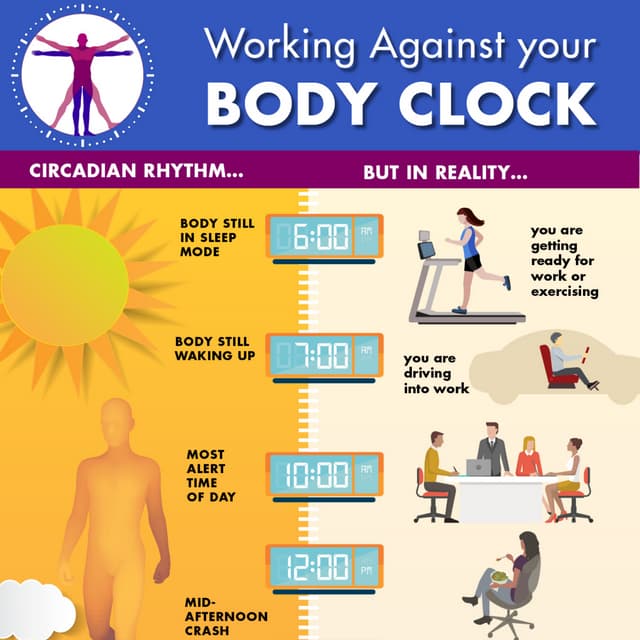 Working Against Your Body Clock National Safety Council PDF