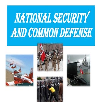 National Security: Armed Forces