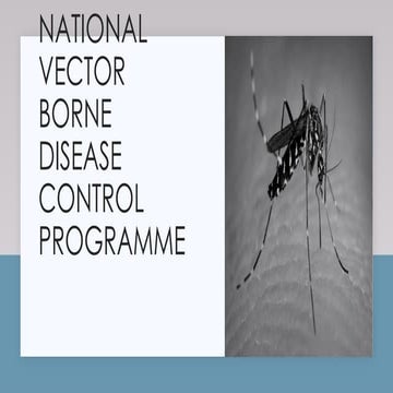 National Vector Borne Disease Control Programme (NVBDCP) | PPTX