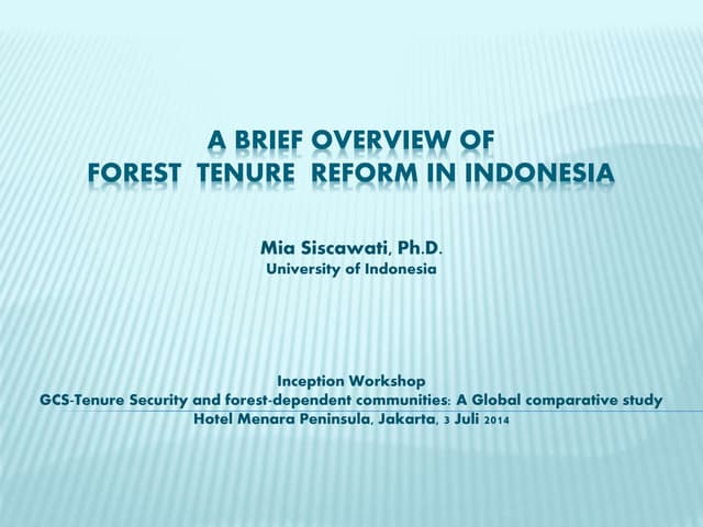 A brief overview of forest tenure reform in Indonesia