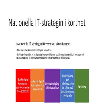 Nationella  it strategin i korthet