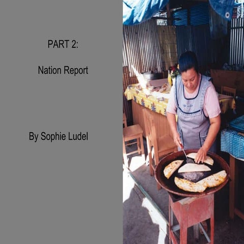 Nation report part 2