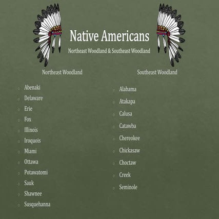Native american poster