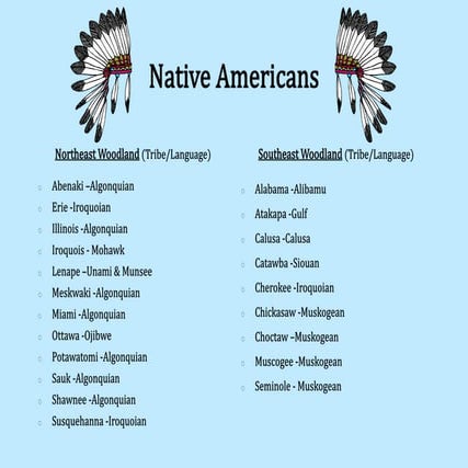 native-american-poster