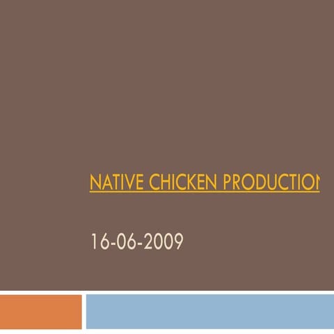 Native chicken production in the philippines