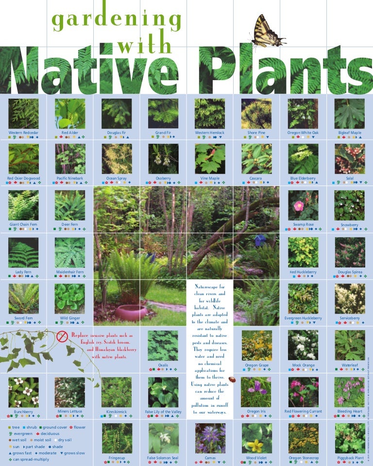 Gardening With Native Plants Seattle Washington