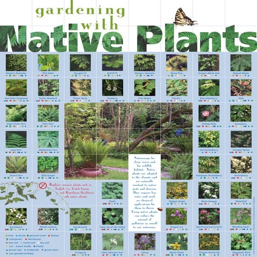 Gardening with Native Plants - Seattle, Washington