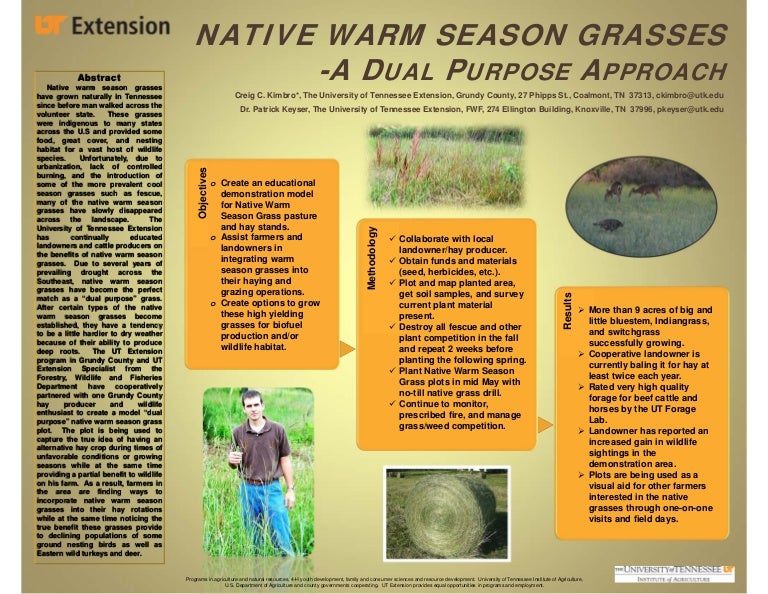 Native Warm Season Grasses 3