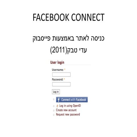 Facebook Connect | PDF