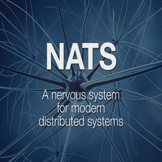 NATS - A new nervous system for dis...