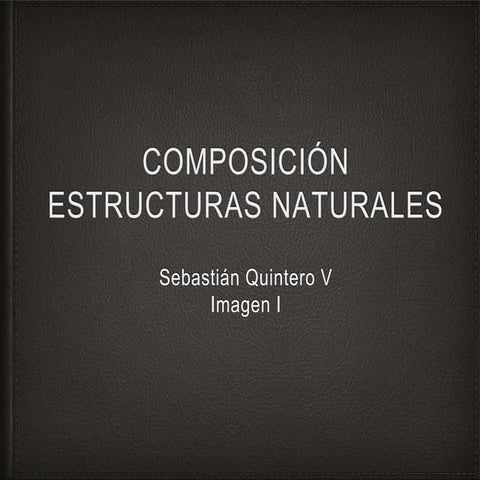 Composición fotográfica estructuras naturales
