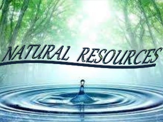 Image result for natural resources