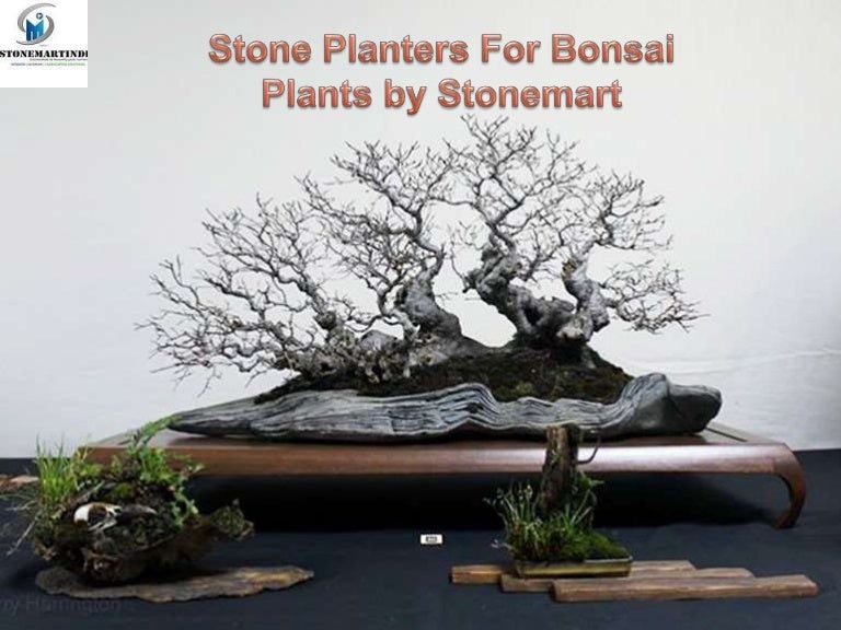 Natural stonebonsaiplantersbystonemart