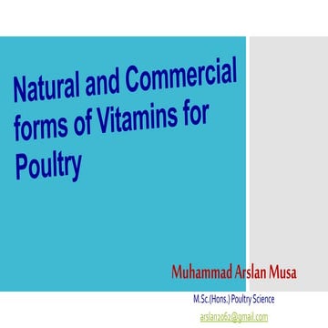 Natural and commercial forms of vitamins for poultry