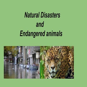 Natural disasters and   endangered animals