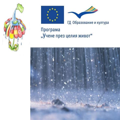 Natural disasters final