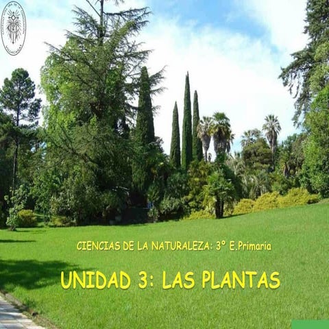 Naturales 3. las plantas