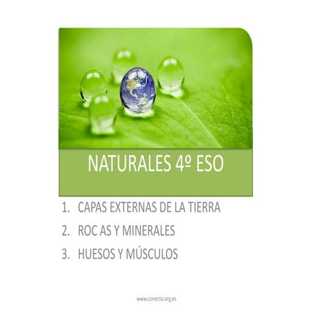 Adaptación primeros temas de CONO de 4º de la ESO