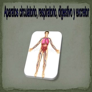 Naturales aparatos. mario