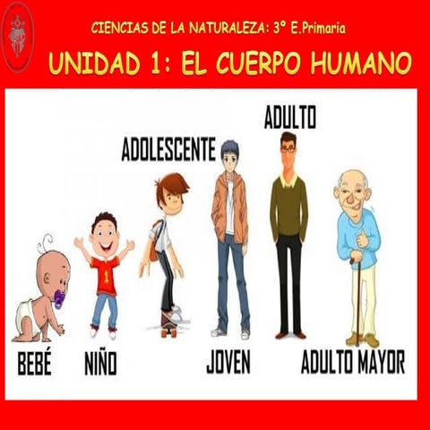 Naturales unidad 1