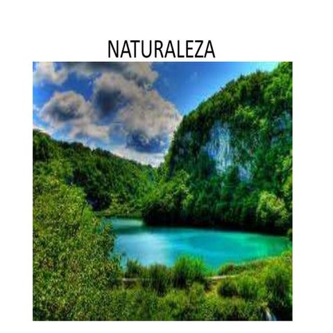 Naturaleza