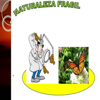 Naturaleza fragil