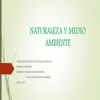 IMPORTANCIA DEL MEDIO AMBIENTE Y LA...