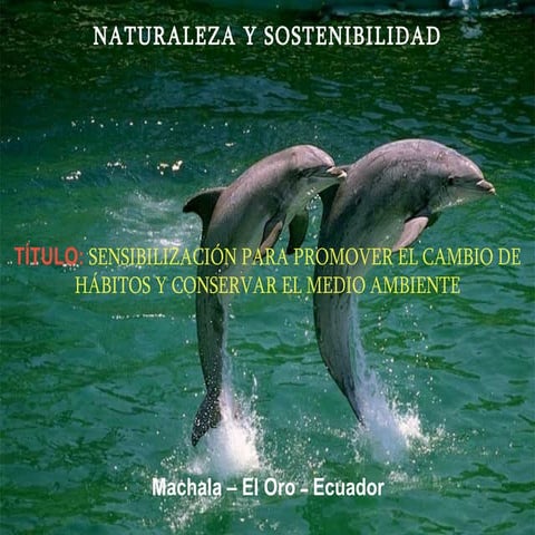 Naturaleza Y Sostenibilidad