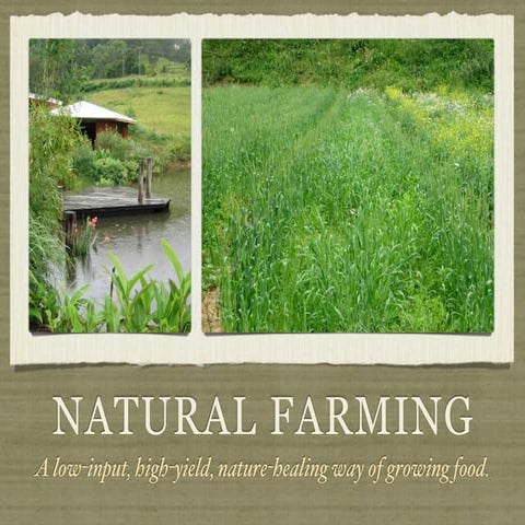 Natural Farming: An introduction to the principles of natural farming and per...