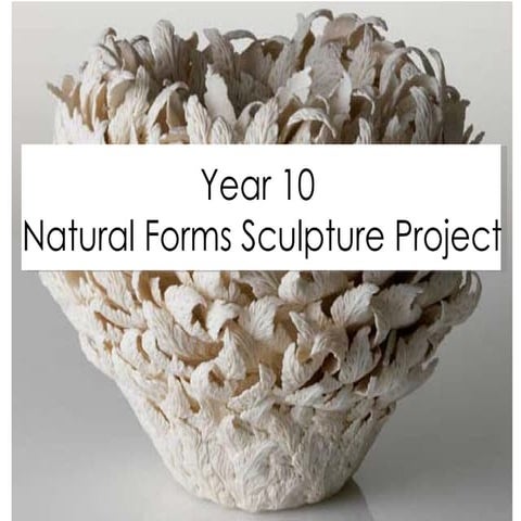 Natural forms sculpture project