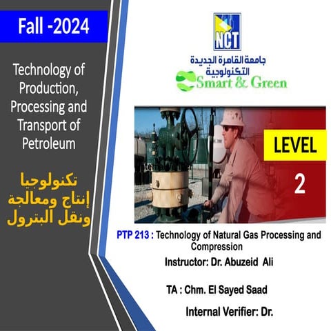 natural gas  hydro carbons system analysis .pptx