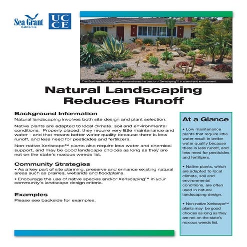 Natural Landscaping Reduces Runoff - Sea Grant California