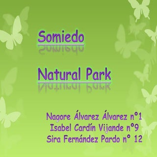 Natural park of somiedo (isabel, na...