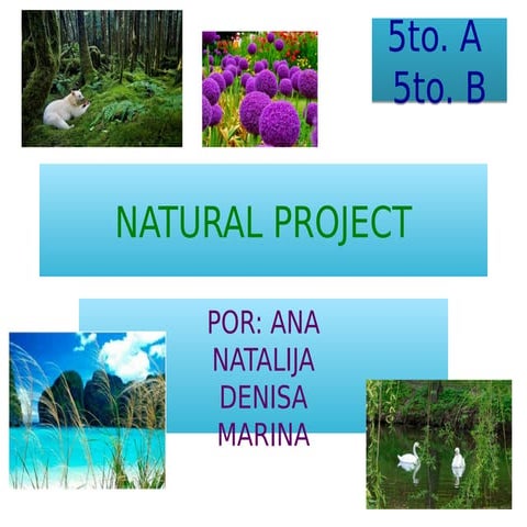 Natural project ana denisa marina natalja 