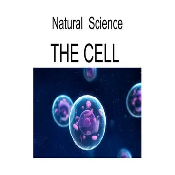 Natural proyect adriana alba paula