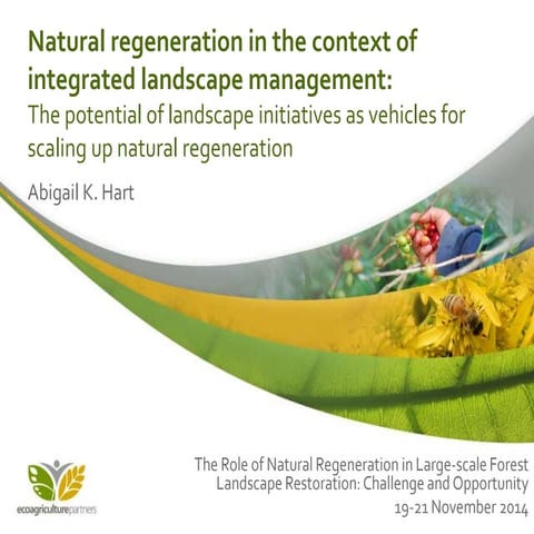 Natural regeneration in the context of integrated landscape management